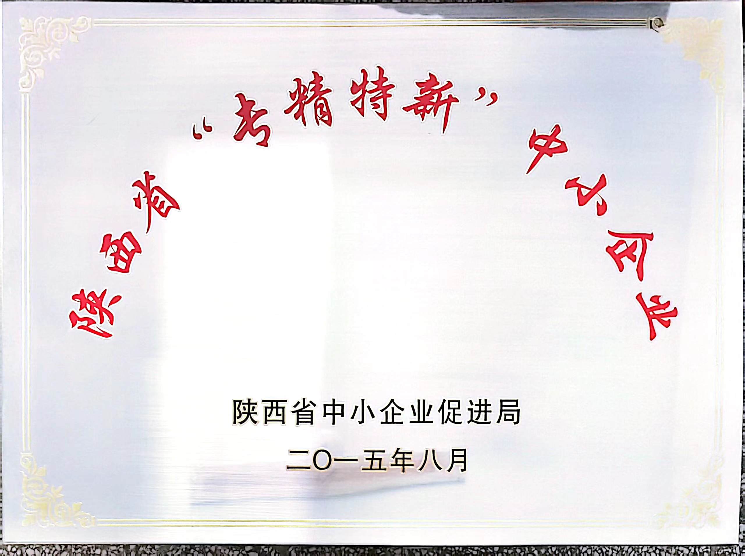 專精特新企業(yè)